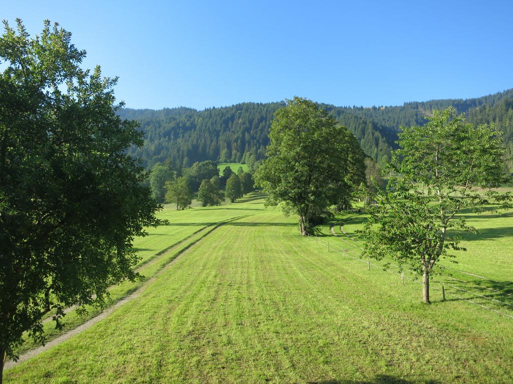Ferienwohnungen Marchanger Niederau Zewnętrze zdjęcie