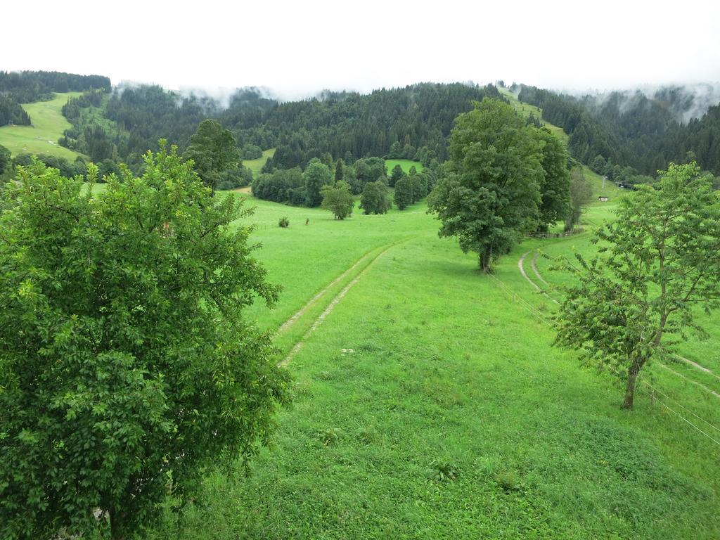 Ferienwohnungen Marchanger Niederau Pokój zdjęcie